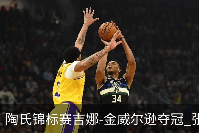 陶氏锦标赛吉娜-金/威尔逊夺冠 张维维/张雅惠T12